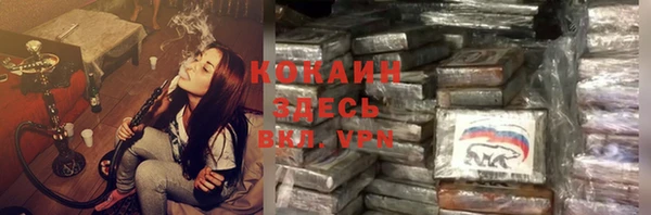 дурь Болотное