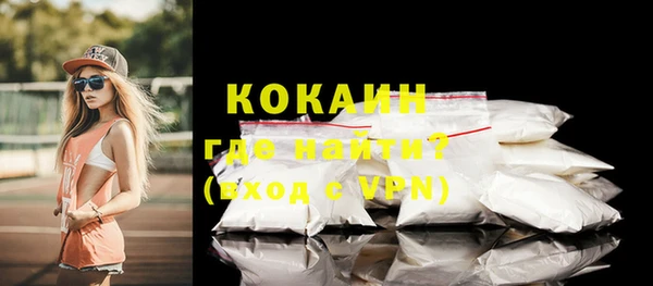 стаф Няндома