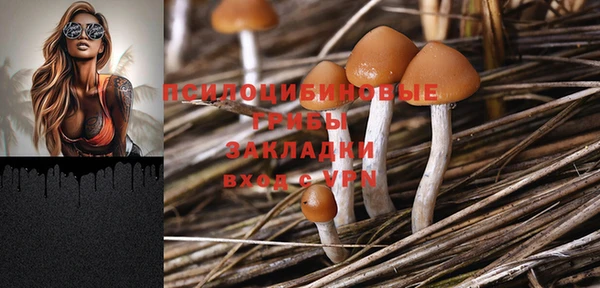 прущие крисы Нягань