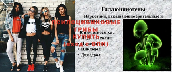 стаф Няндома