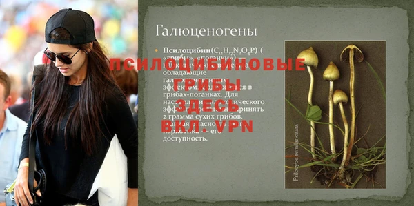 mdma Нязепетровск