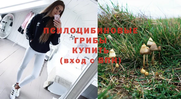 прущие крисы Нягань