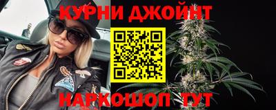 шишки Можга