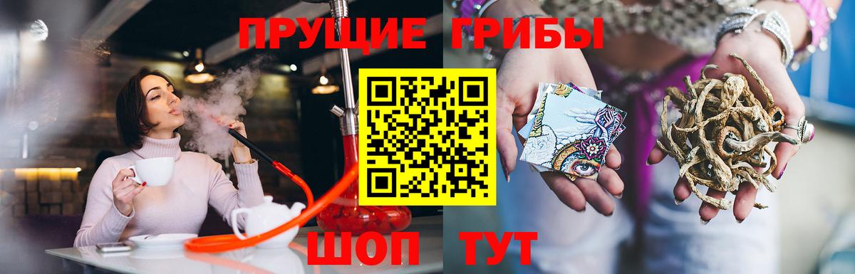 Кохма  Галлюциногенные грибы ЛСД  Вход с VPN 